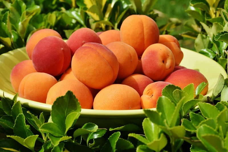 Healthy Bowl of Fruits and Nuts